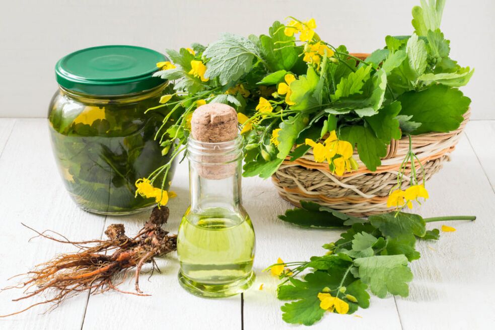 Oliomikosiari aurre egiteko zelandinaren olioa eta decoction